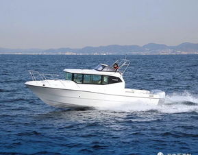 暢銷15載,新日本njm28尺小飛橋游艇