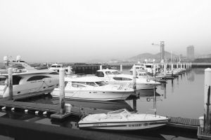 游艇突然加速跑,大連碼頭告急