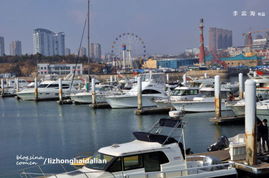 大連星海灣感受奢華的中國(guó)游艇文化