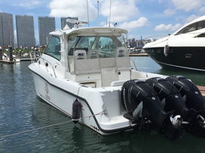 廈門欣翔航運電子與大連游艇達成戰略合作，共拓智能航海新篇章