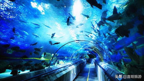 大連自駕游玩全攻略 十大景區與行程安排，游艇體驗推薦