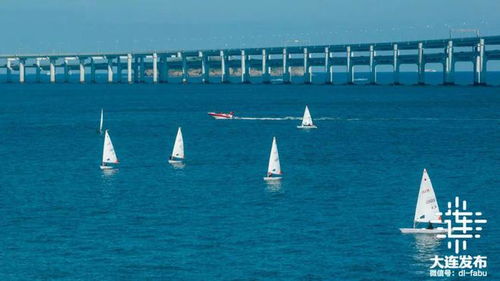 三季度，大連跑出“加速度” 游艇產(chǎn)業(yè)揚(yáng)帆起航