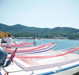 2017大連旅順釣魚(yú)節(jié)今日盛大啟幕，央視明星助陣引領(lǐng)大連游艇熱潮