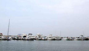 乘風(fēng)破浪，揚(yáng)帆起航 第四屆大連國(guó)際游艇展盛大開幕