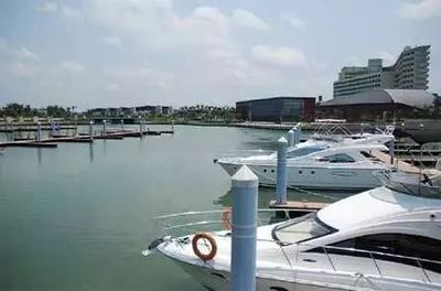 大連環城旅游巴士下周恢復運營，新增游艇體驗打造海陸聯游新風尚